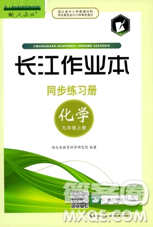 2019秋長江作業(yè)本同步練習冊九年級上冊化學人教版參考答案