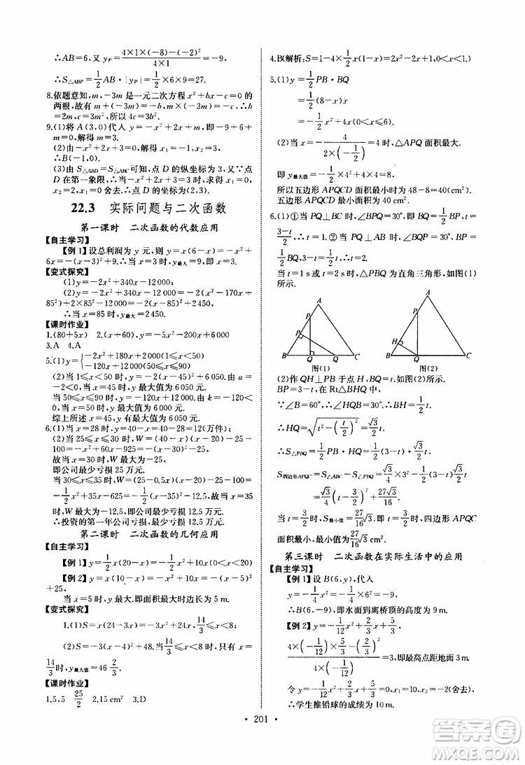 2019新版長江全能學案同步練習冊數(shù)學九年級全一冊人教版參考答案