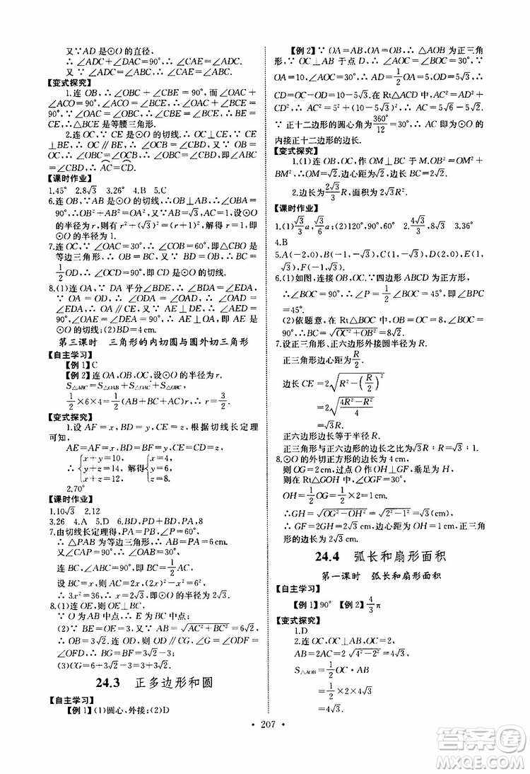 2019新版長江全能學案同步練習冊數(shù)學九年級全一冊人教版參考答案