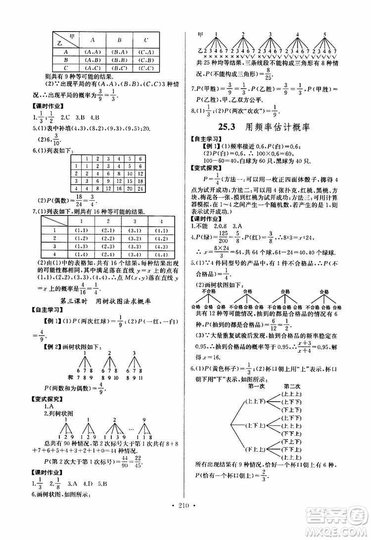 2019新版長江全能學案同步練習冊數(shù)學九年級全一冊人教版參考答案