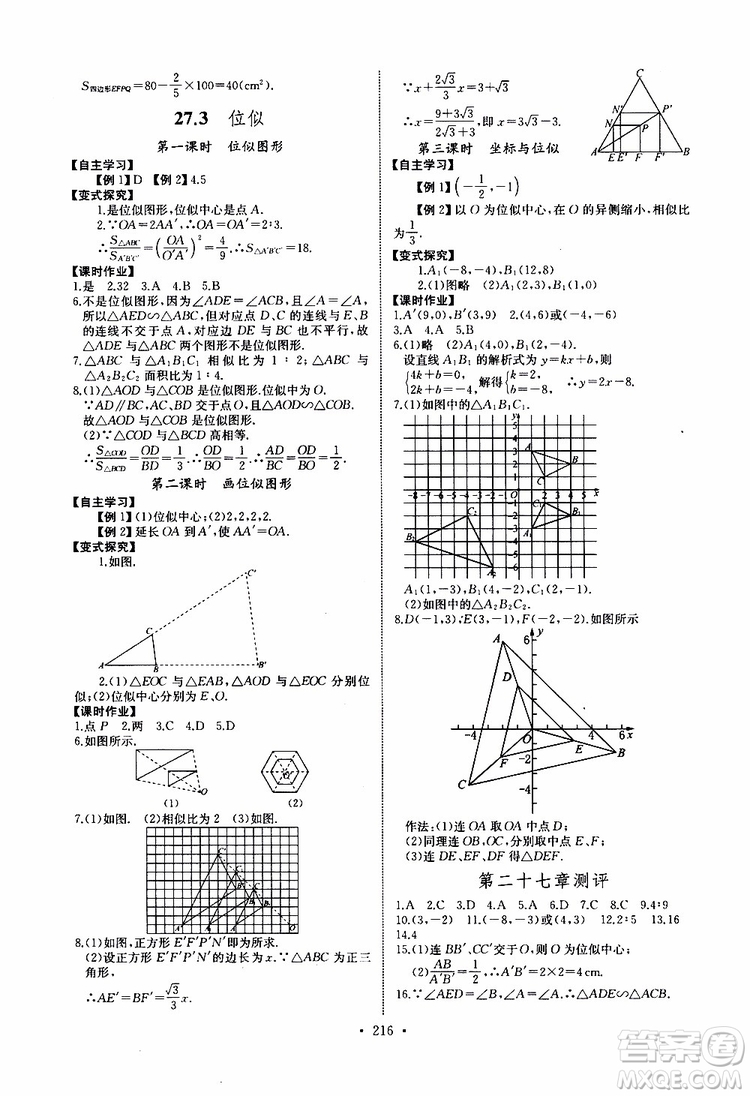 2019新版長江全能學案同步練習冊數(shù)學九年級全一冊人教版參考答案