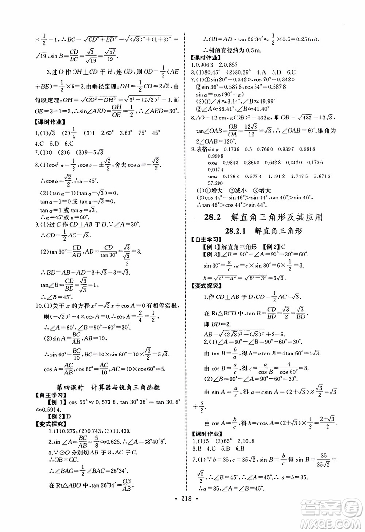 2019新版長江全能學案同步練習冊數(shù)學九年級全一冊人教版參考答案