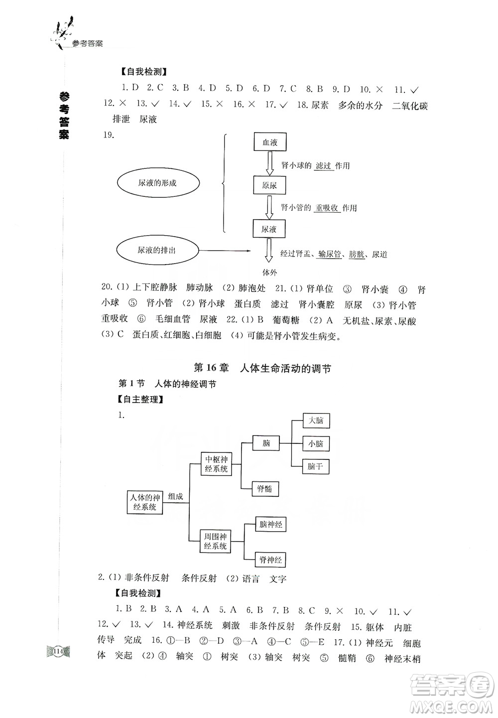 江蘇鳳凰教育出版社2019學(xué)習(xí)與評價八年級生物上冊蘇教版答案