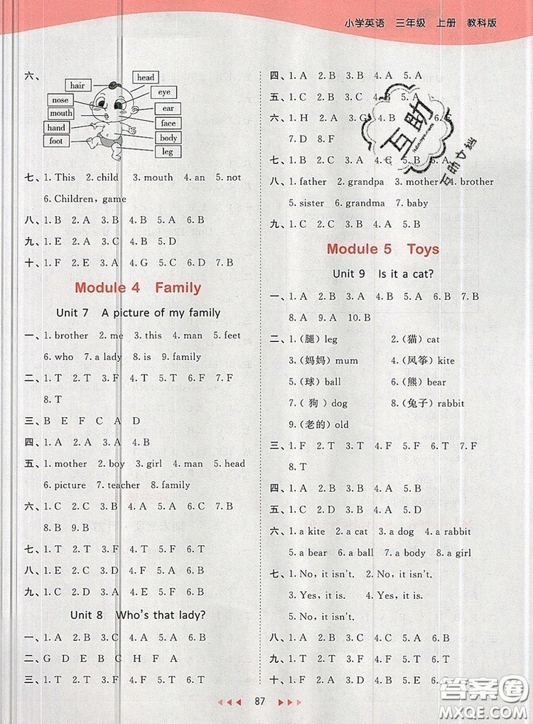 2019年53天天練小學(xué)英語(yǔ)三年級(jí)上冊(cè)教科版廣州專用參考答案