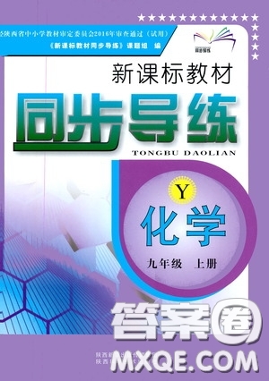 陜西科學技術出版社2019新課標教材同步導練九年級化學上冊Y版答案