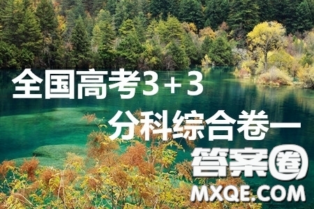 2020屆全國高考3+3分科綜合卷一化學(xué)試題及答案解析