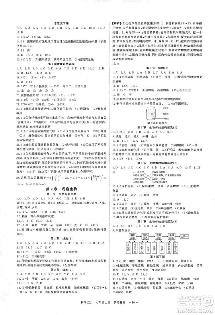 2019全效提分卷七年級科學(xué)上冊浙江版答案