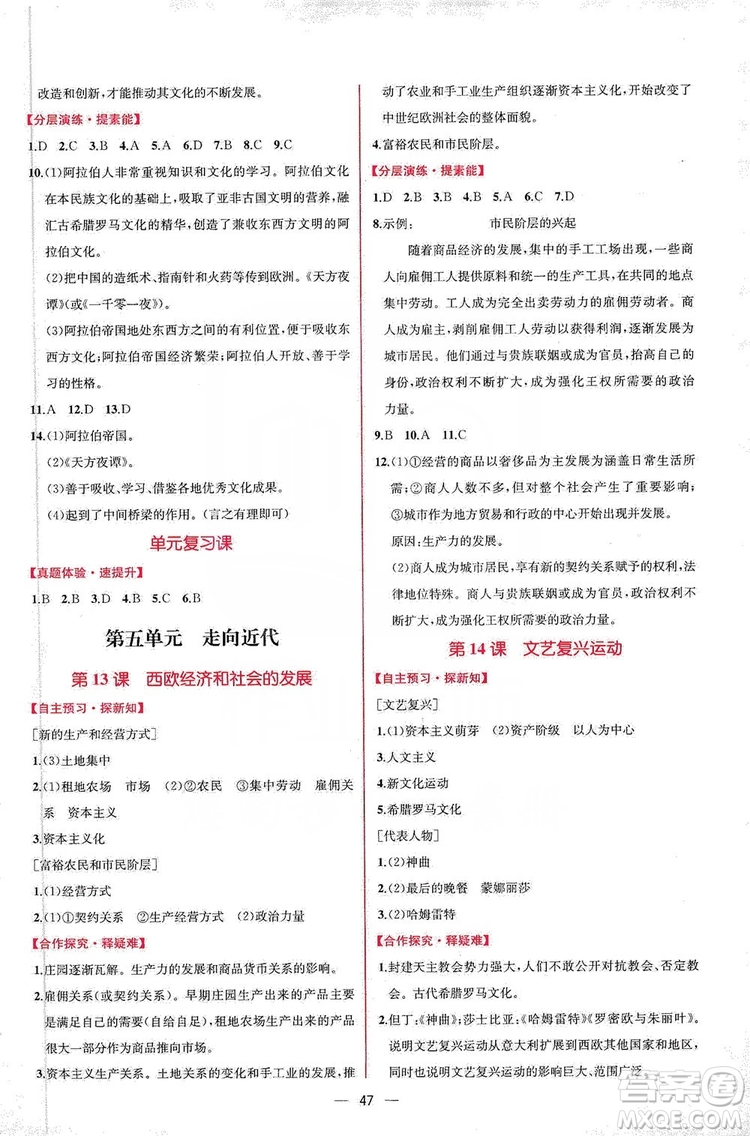 同步學(xué)歷案課時練2019九年級世界歷史人教版答案