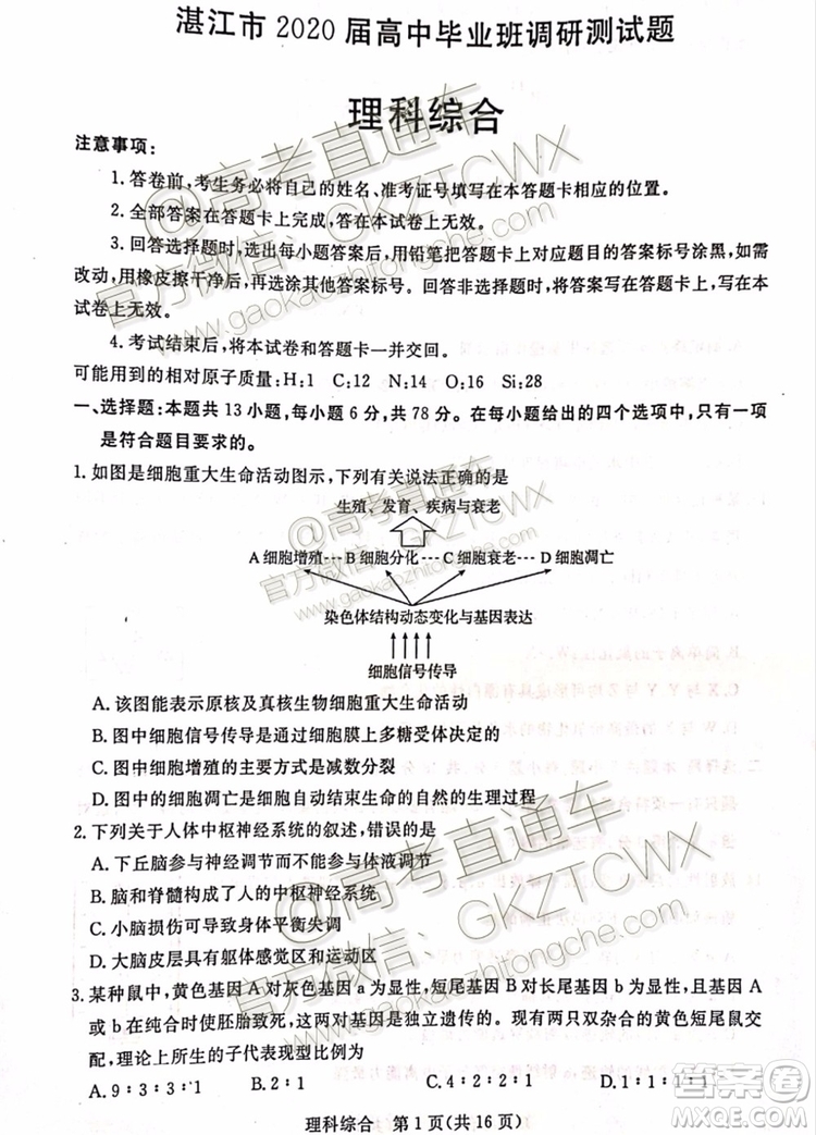 2020屆湛江市高三9月調研考試文理綜試題及參考答案