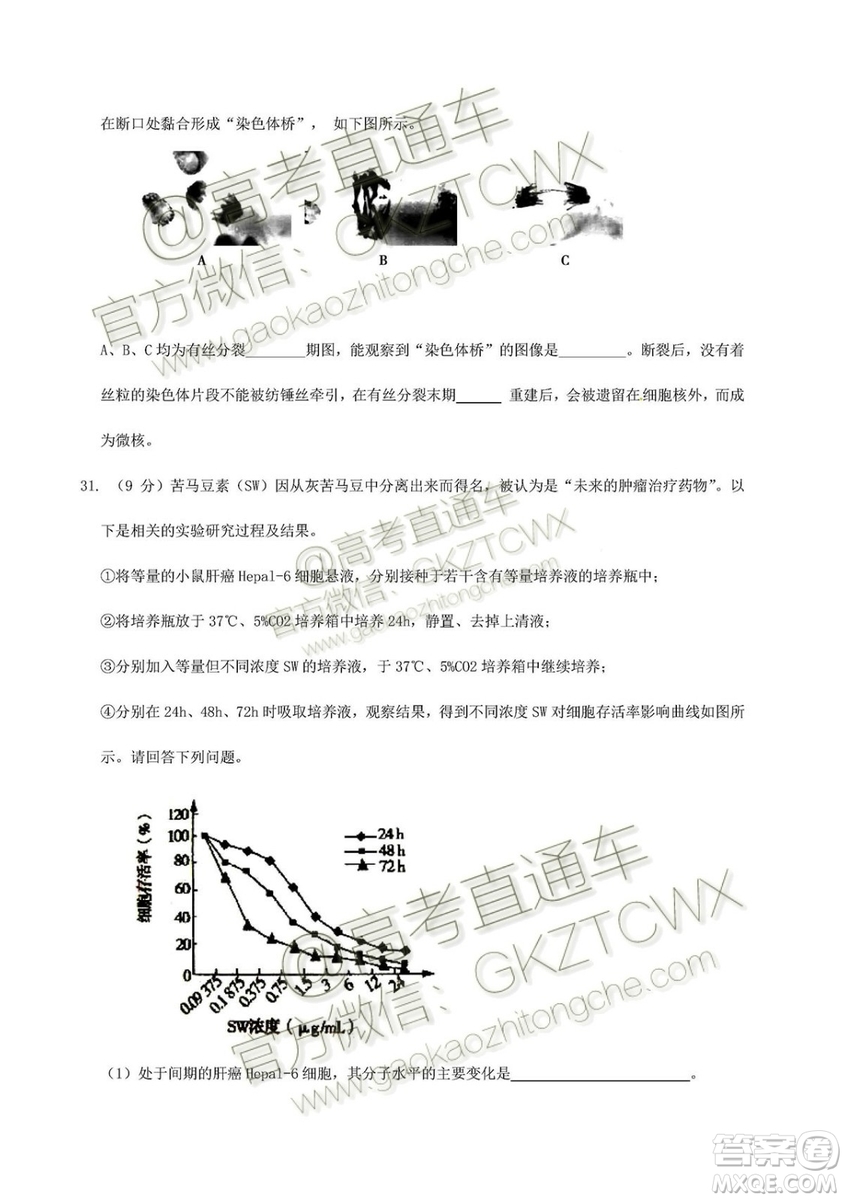 2020屆深圳市高級(jí)中學(xué)高三上學(xué)期第一次測(cè)試文理綜試題及答案