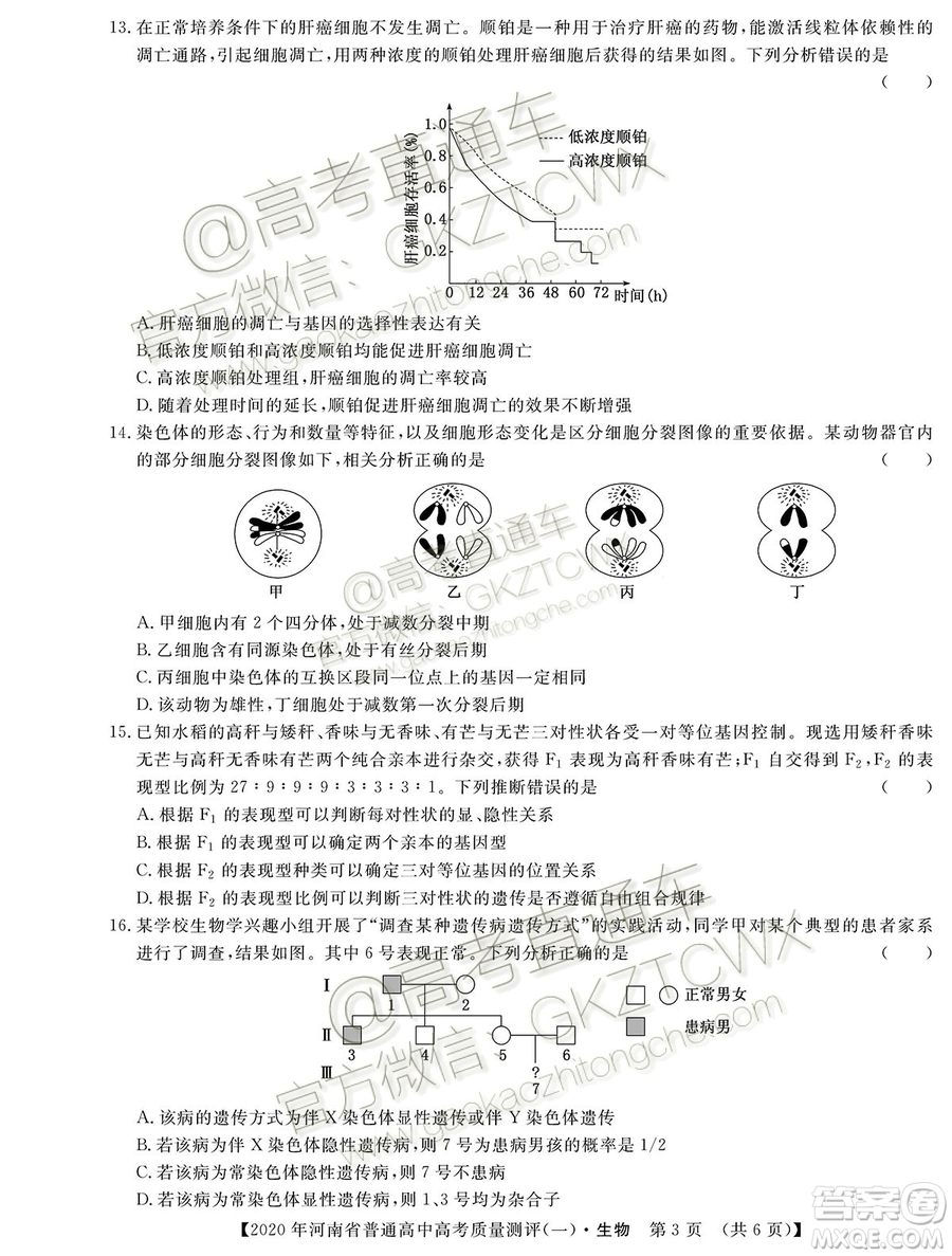 2020屆河南大象聯(lián)考測評一生物試題及參考答案