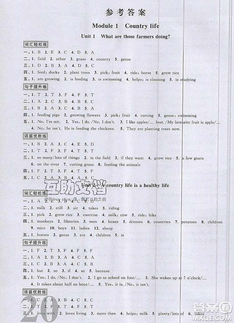 2019年陽(yáng)光同學(xué)課時(shí)優(yōu)化作業(yè)六年級(jí)英語(yǔ)上冊(cè)教科版參考答案