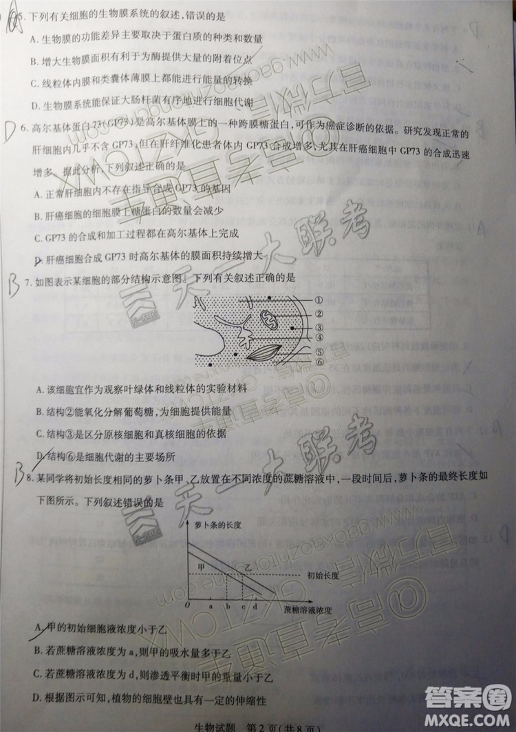 2020屆天一大聯(lián)考高三一聯(lián)Q皖豫聯(lián)盟生物試題及參考答案