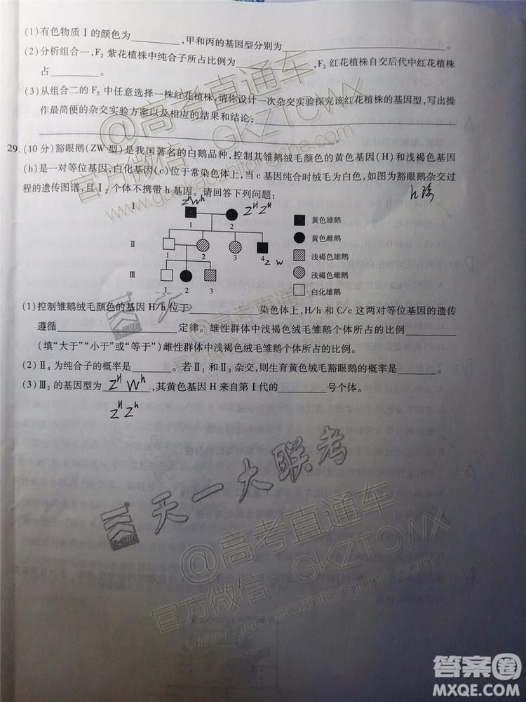 2020屆天一大聯(lián)考高三一聯(lián)Q皖豫聯(lián)盟生物試題及參考答案