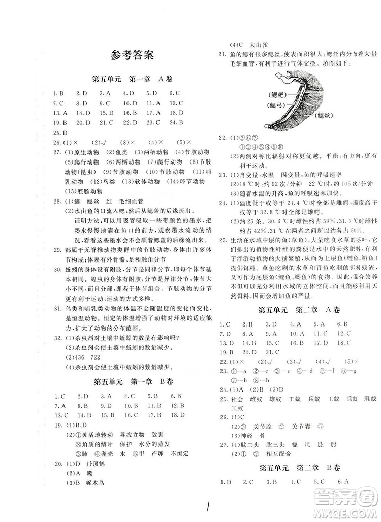 北京教育出版社2019新課堂AB卷單元測試八年級(jí)生物學(xué)上冊(cè)配人民教育版答案