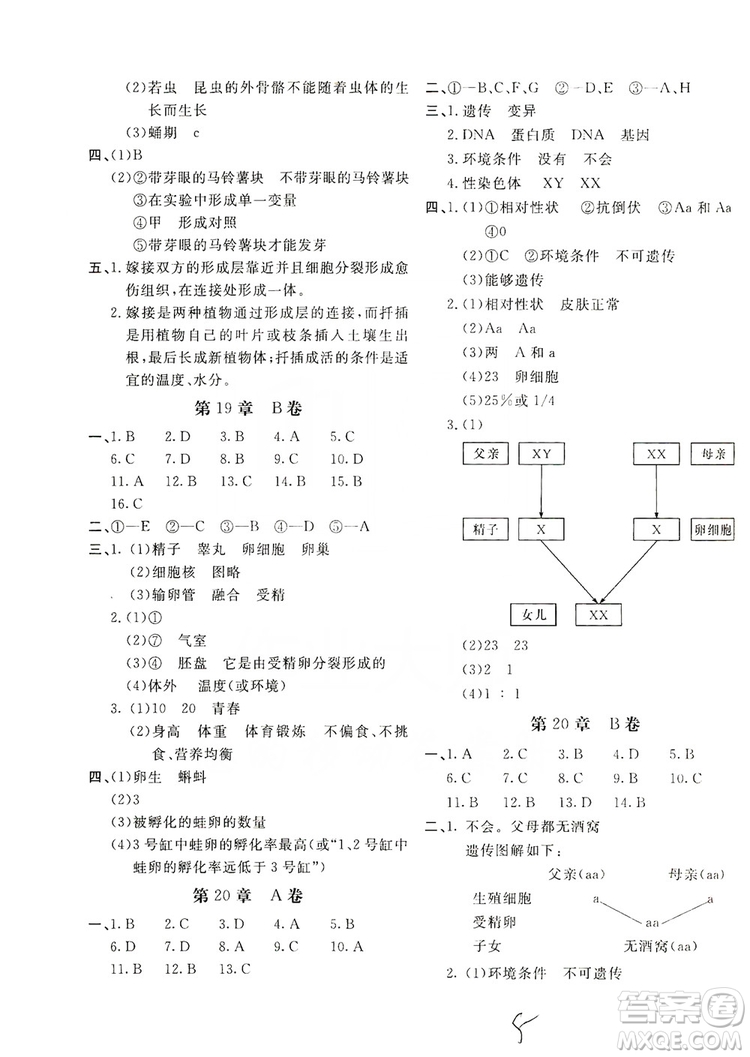 2019新課堂AB卷單元測(cè)試8年級(jí)生物學(xué)上冊(cè)配人民教育版答案