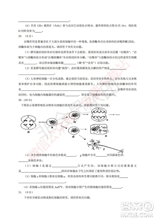 2020屆銀川一中高三年級第二次月考理科綜合試題及答案