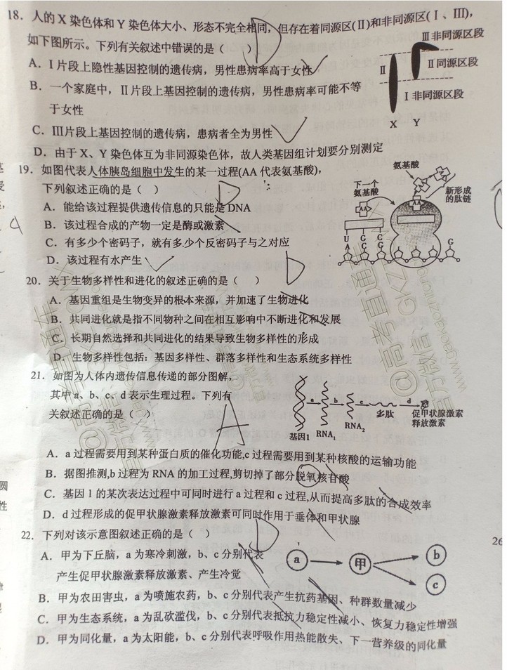 大同市2020屆高三年級第一次聯(lián)合考試市直生物試題及參考答案