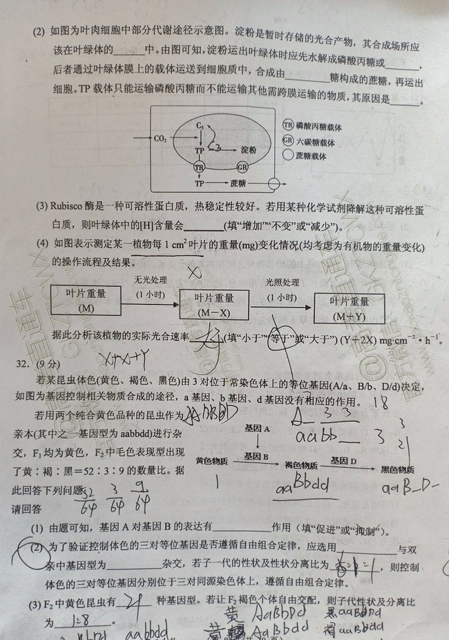 大同市2020屆高三年級第一次聯(lián)合考試市直生物試題及參考答案