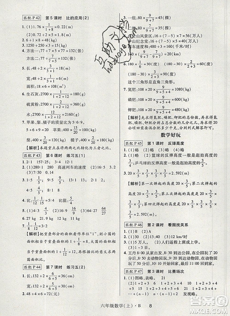 2019年狀元天天練同步練習(xí)六年級數(shù)學(xué)上冊北師大版參考答案