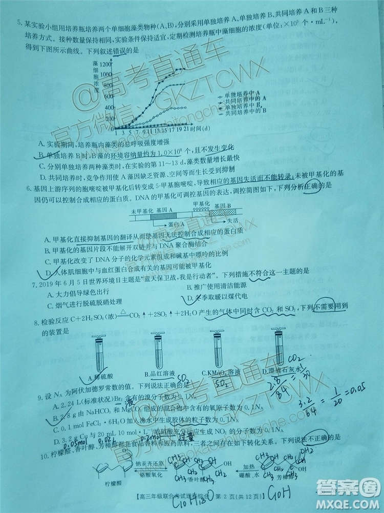 2020屆貴州金太陽高三10月聯(lián)考理科綜合試題及參考答案