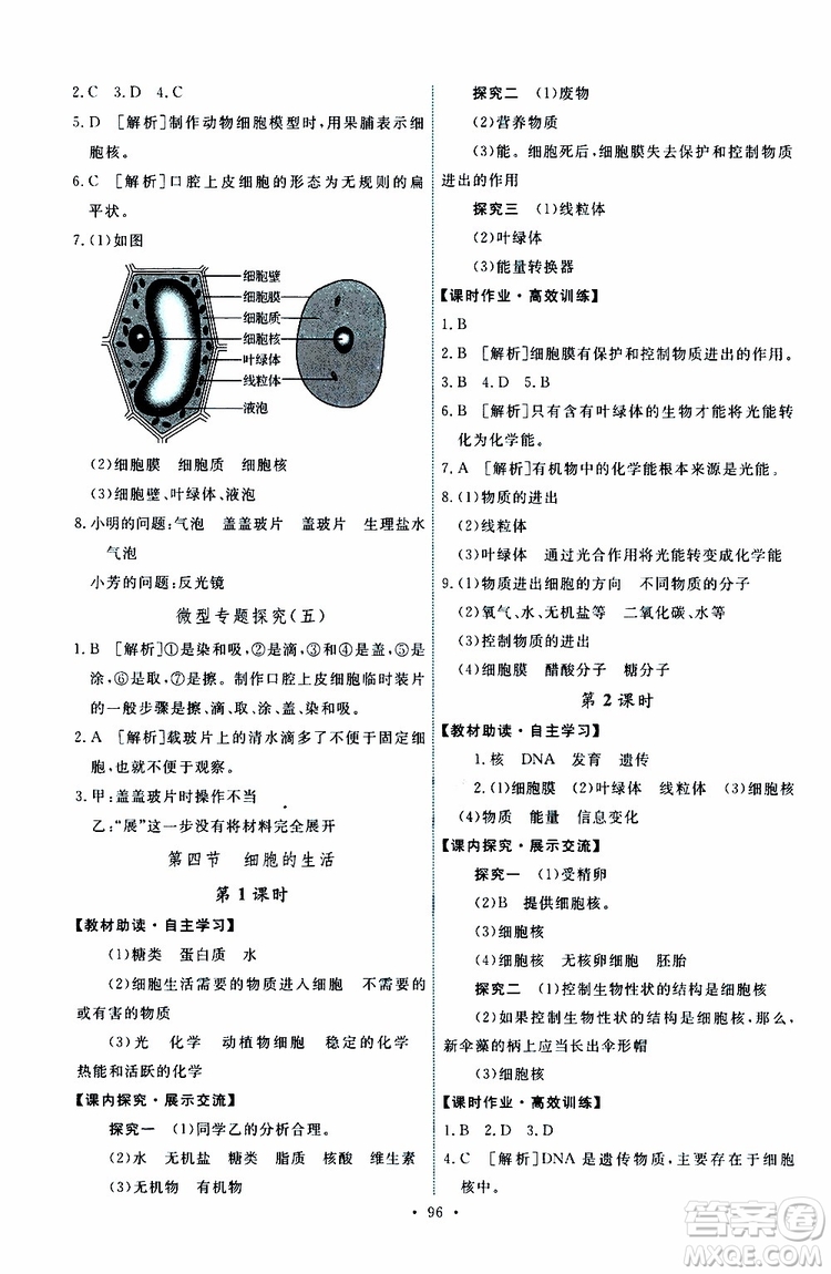 2019年能力培養(yǎng)與測試生物學(xué)七年級上冊人教版參考答案