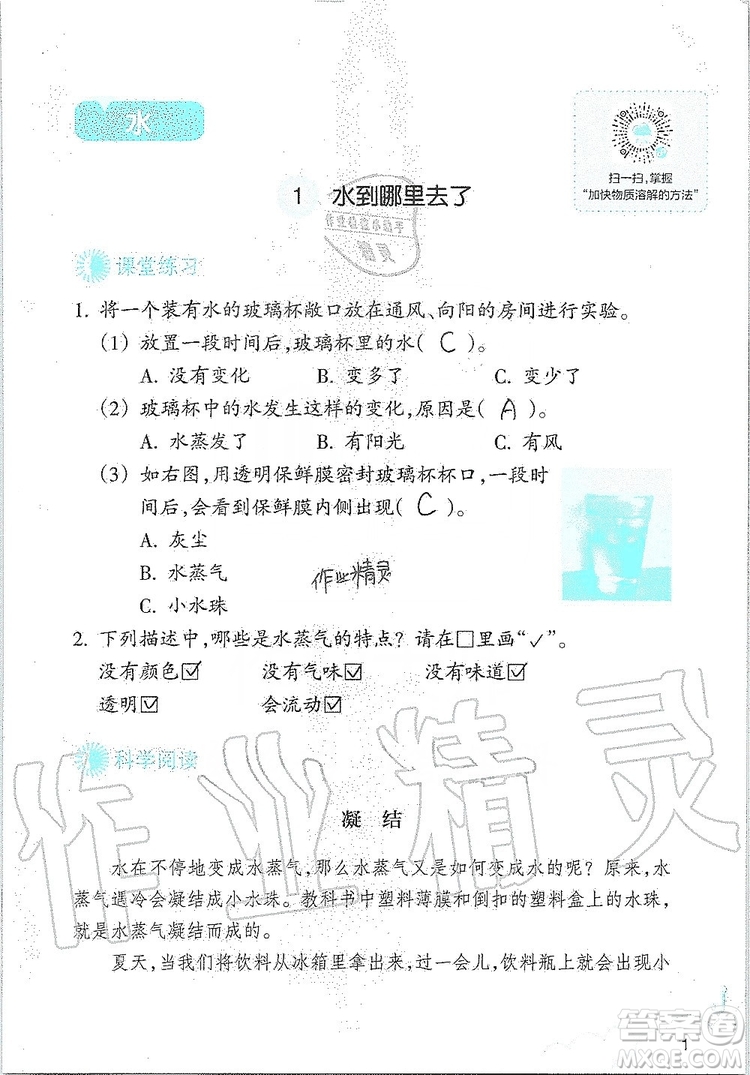 浙江教育出版社2019義務教育教材科學作業(yè)本三年級上冊人教版答案