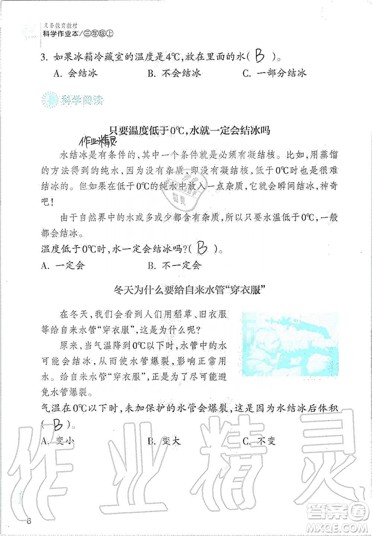 浙江教育出版社2019義務教育教材科學作業(yè)本三年級上冊人教版答案