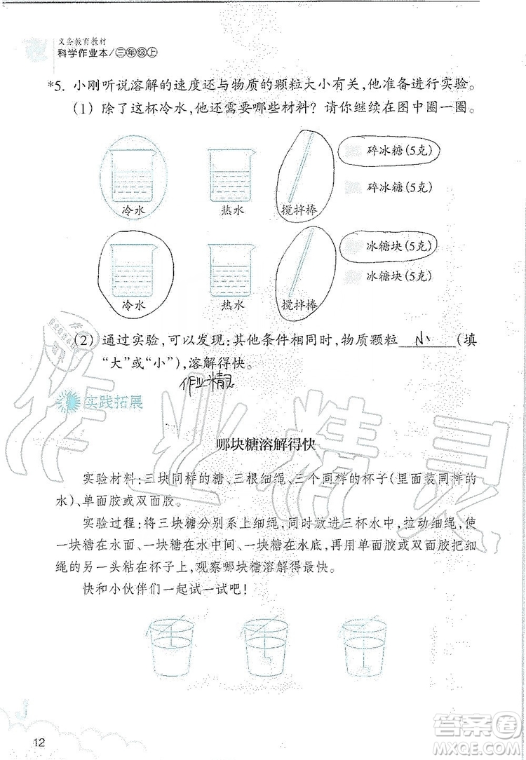 浙江教育出版社2019義務教育教材科學作業(yè)本三年級上冊人教版答案