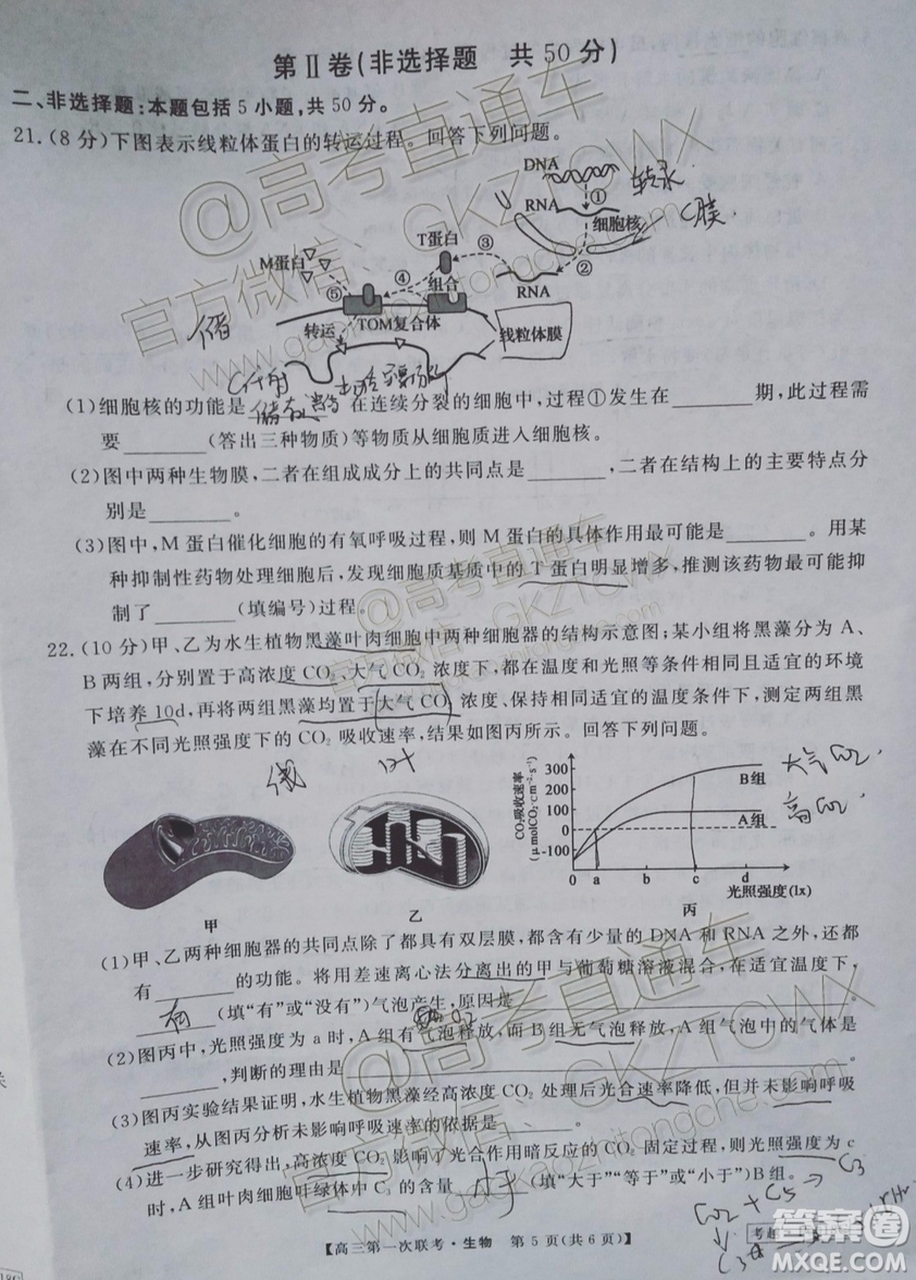 皖南八校2020屆高三第一次聯(lián)考生物試題及參考答案