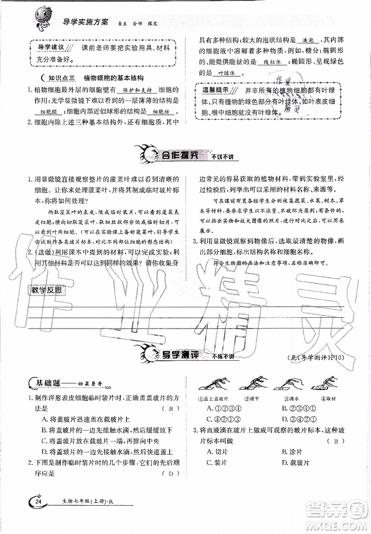 金太陽教育2019年金太陽導學案生物七年級上冊創(chuàng)新版參考答案