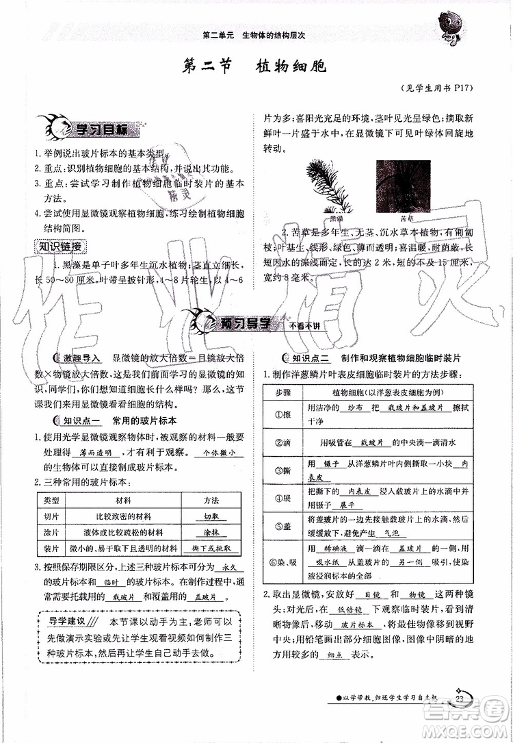 金太陽教育2019年金太陽導學案生物七年級上冊創(chuàng)新版參考答案