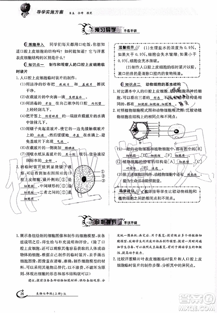 金太陽教育2019年金太陽導學案生物七年級上冊創(chuàng)新版參考答案