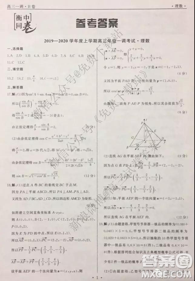 2020屆衡中同卷高三上學(xué)期一調(diào)考試?yán)砜茢?shù)學(xué)試題及答案