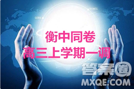 2020屆衡中同卷高三上學(xué)期一調(diào)考試文科數(shù)學(xué)試題及答案