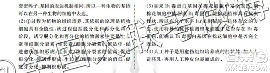 四省八校2020屆高三第一次教學(xué)質(zhì)量檢測考試?yán)砜凭C合答案