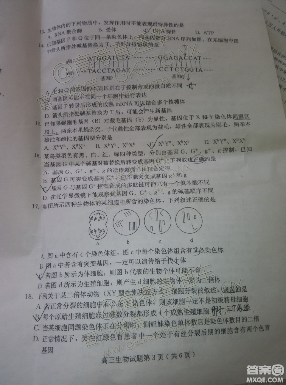 2020屆廊坊保定市高三10月摸底考生物試題及參考答案