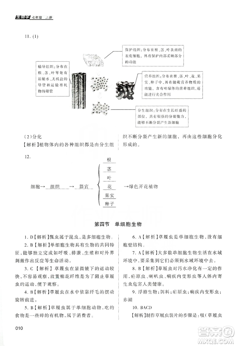 天津教育出版社2019學(xué)習(xí)質(zhì)量監(jiān)測生物學(xué)七年級上冊人教版答案