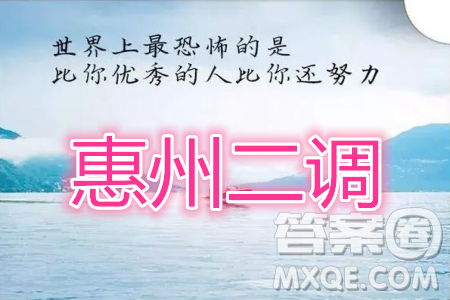 惠州市2020屆高三第二次調(diào)研考試文科數(shù)學(xué)試題及參考答案