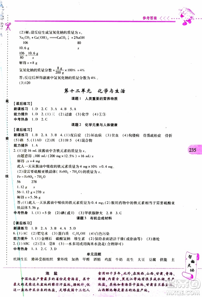 2019年新課程新練習(xí)化學(xué)九年級(jí)全一冊(cè)人教版參考答案