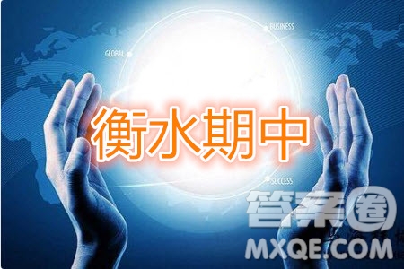 2020屆衡水中學高三年級上學期期中考試物理試題及答案