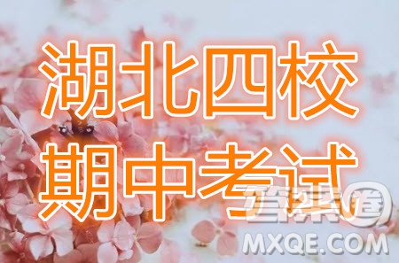 2020屆湖北四校高三上期中考試理科數(shù)學(xué)試題及參考答案