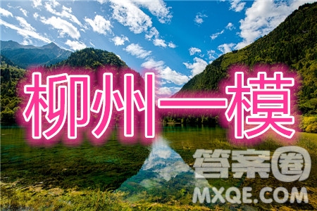 2020屆柳州一模理科數(shù)學(xué)試題及參考答案