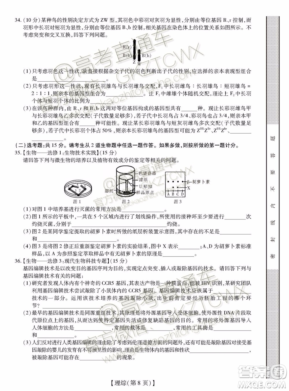 2020屆廣東省高三年級第一次教學質量檢測理科綜合試題及答案