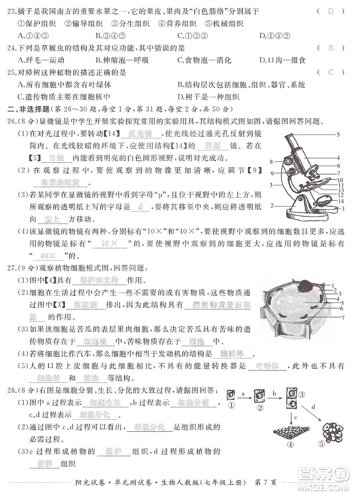 江西高校出版社2019陽(yáng)光試卷單元測(cè)試卷七年級(jí)生物上冊(cè)人教版答案