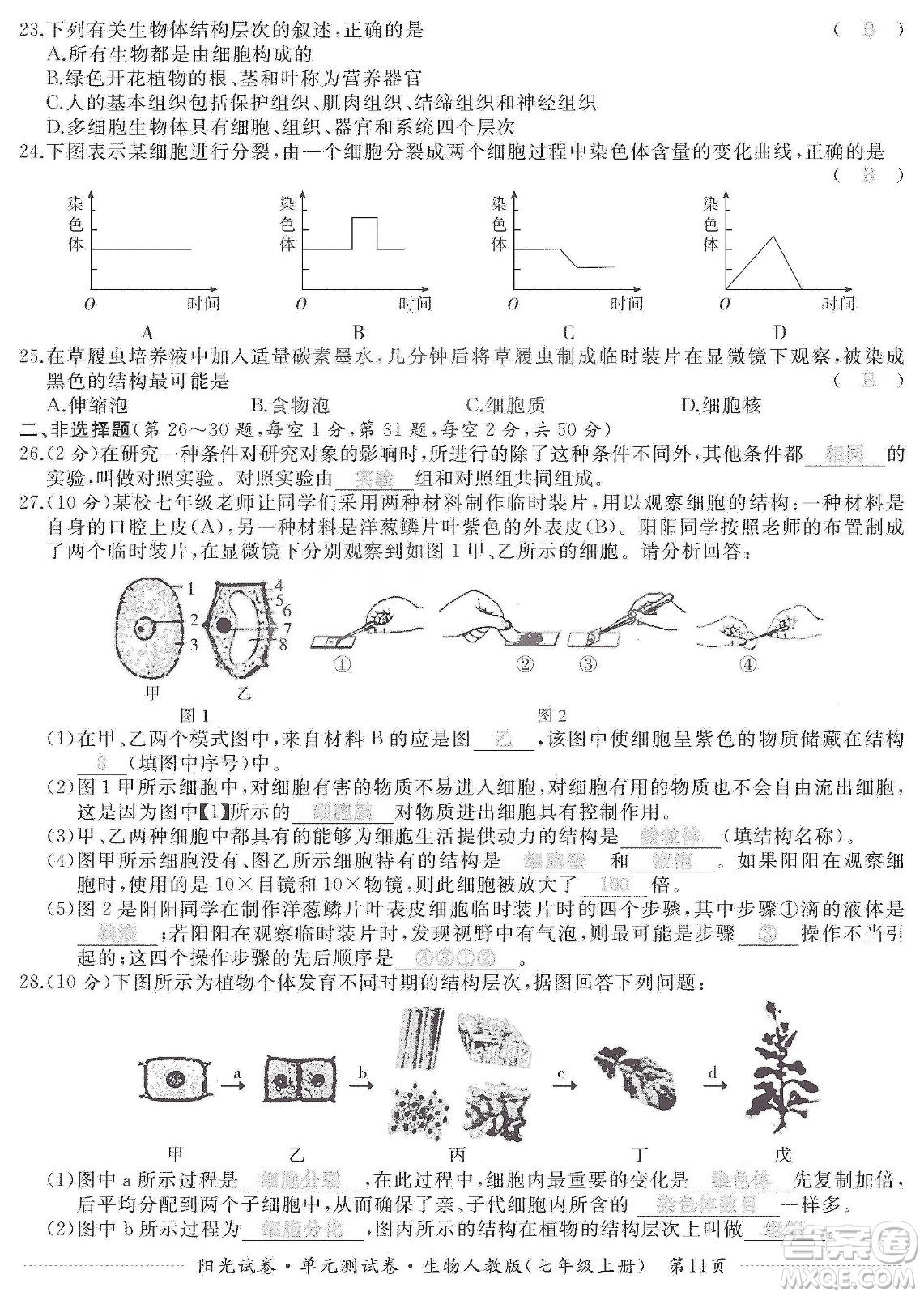 江西高校出版社2019陽(yáng)光試卷單元測(cè)試卷七年級(jí)生物上冊(cè)人教版答案