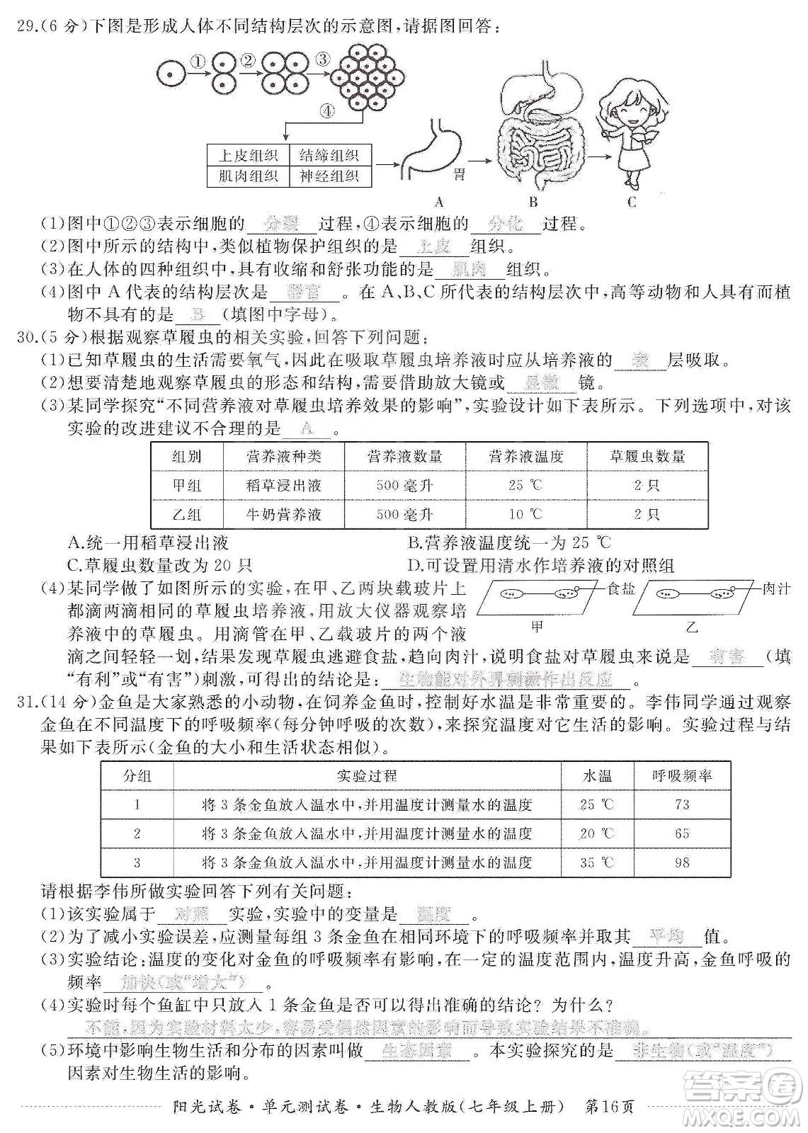 江西高校出版社2019陽(yáng)光試卷單元測(cè)試卷七年級(jí)生物上冊(cè)人教版答案