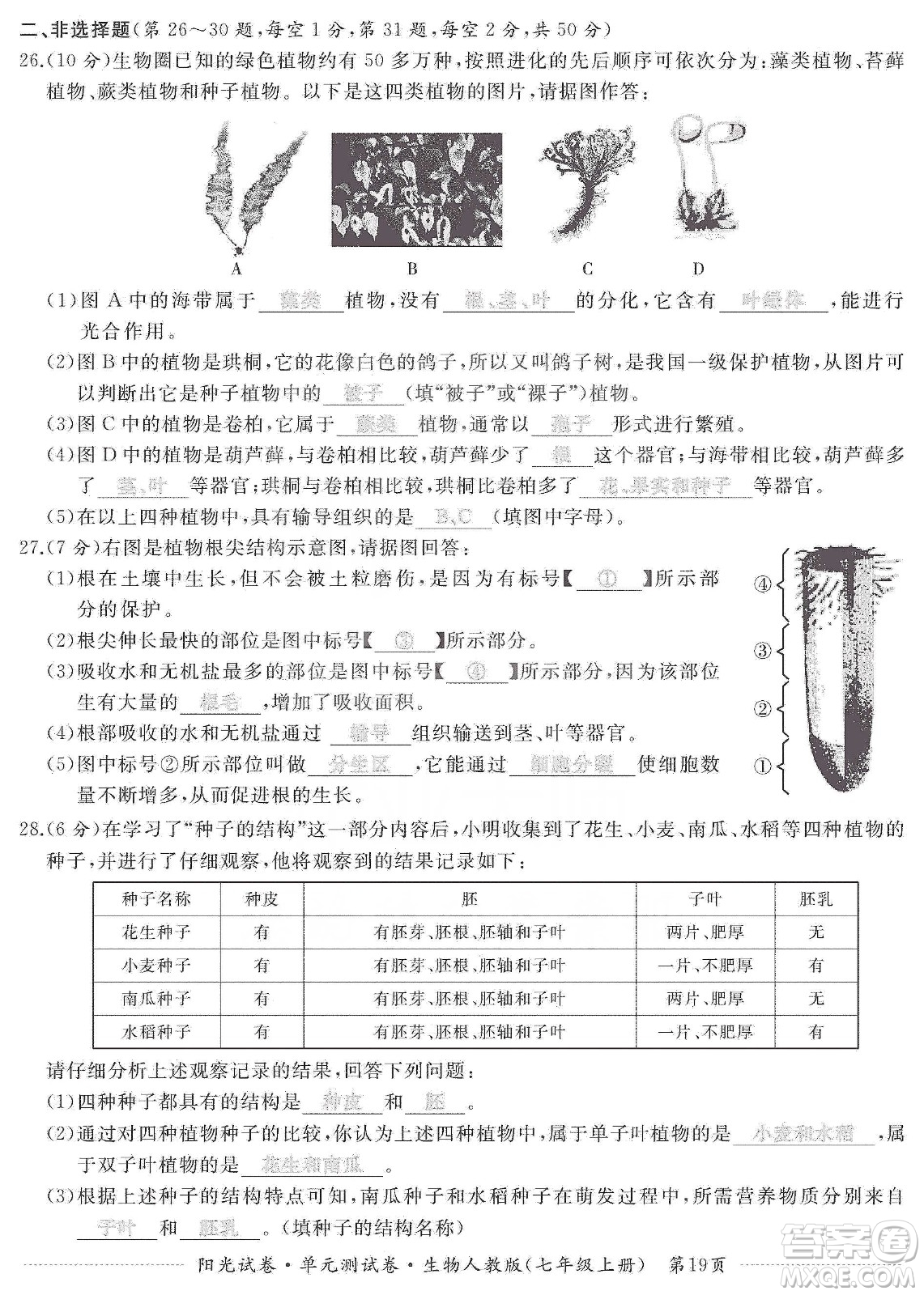 江西高校出版社2019陽(yáng)光試卷單元測(cè)試卷七年級(jí)生物上冊(cè)人教版答案