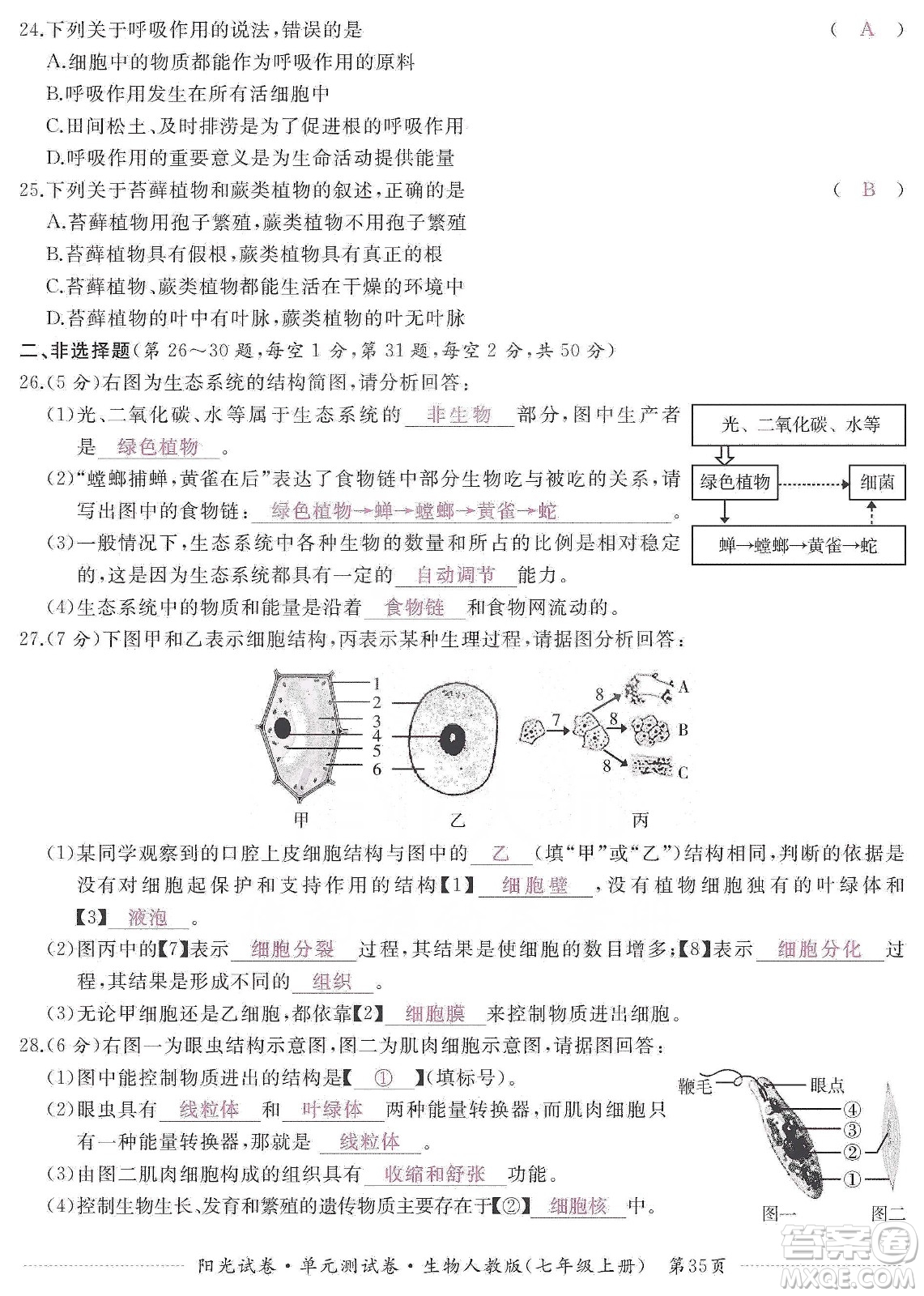 江西高校出版社2019陽(yáng)光試卷單元測(cè)試卷七年級(jí)生物上冊(cè)人教版答案