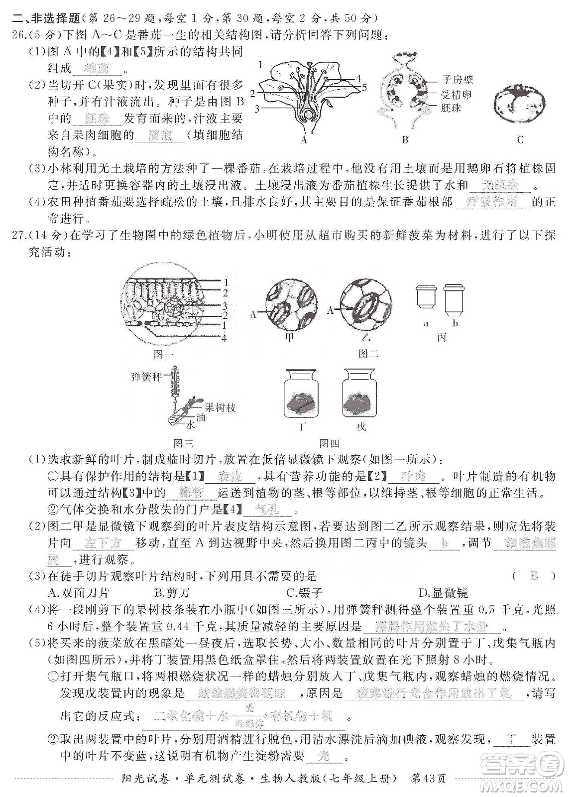 江西高校出版社2019陽(yáng)光試卷單元測(cè)試卷七年級(jí)生物上冊(cè)人教版答案